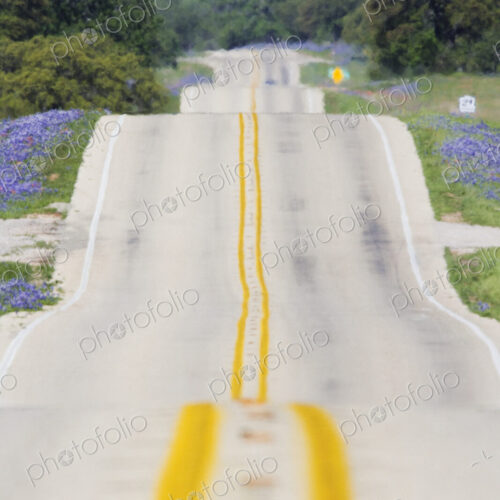 Scenic Country Road Scenic Country Road