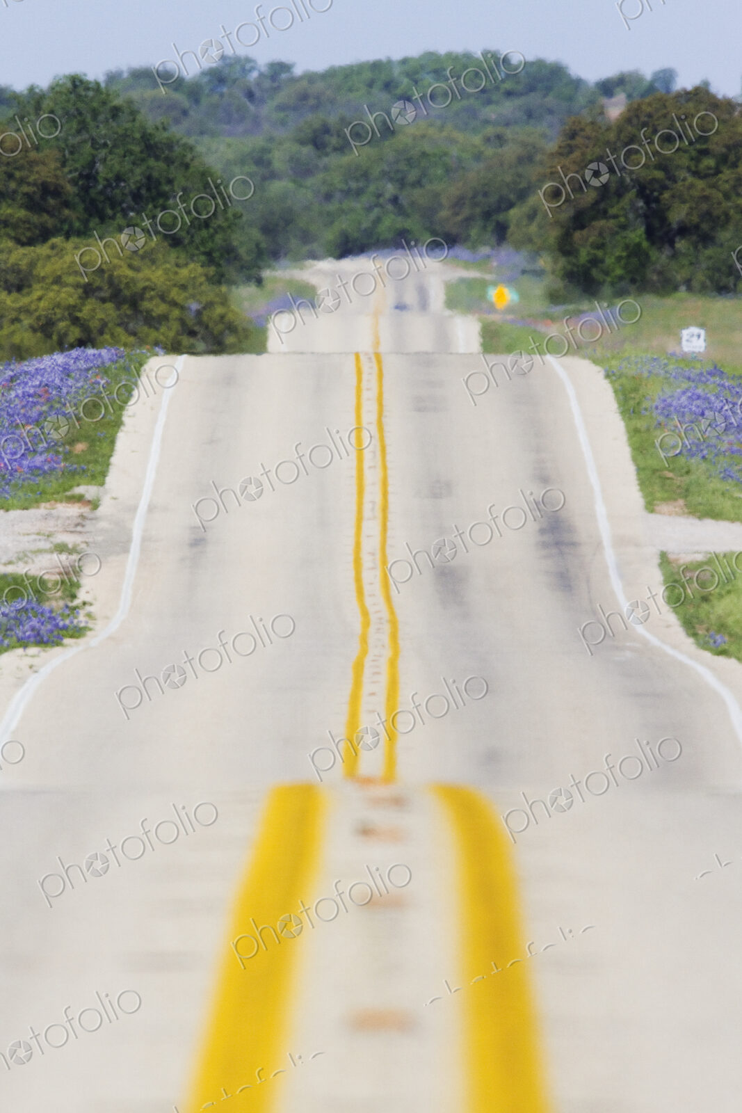 Scenic Country Road