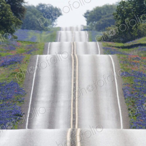Scenic Country Road Scenic Country Road