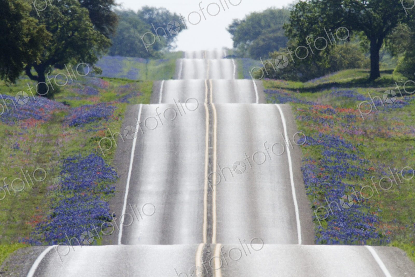 Scenic Country Road