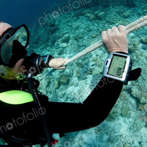 Scuba diver monitors his dive computer screen with information on time and depth while… Scuba diver monitors his dive computer screen with information on time and depth while…
