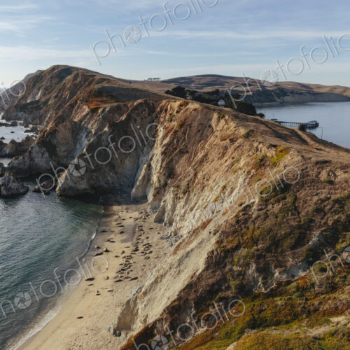 Sea lions basking on the beach on a narrow shore, a rocky coastline.