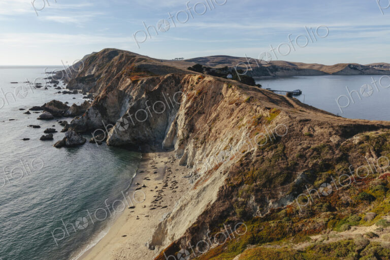 Sea lions basking on the beach on a narrow shore, a rocky coastline.