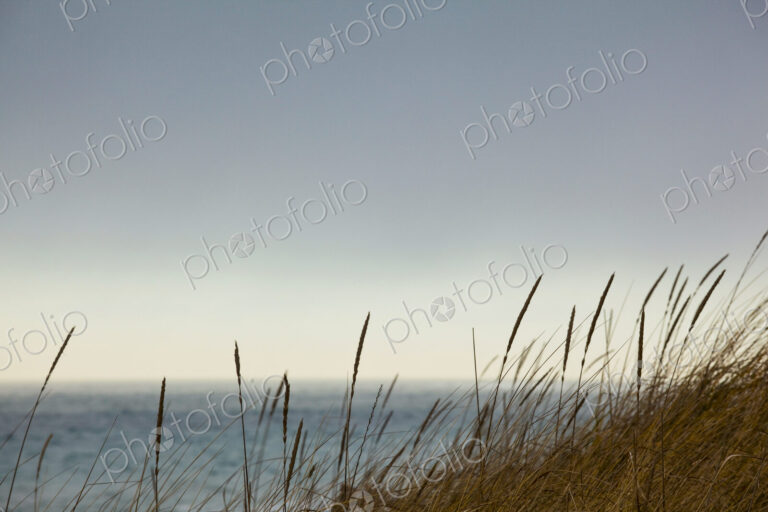 Sea shore grass along the Strait of Juan de Fuca, Port Angeles and view out to sea.