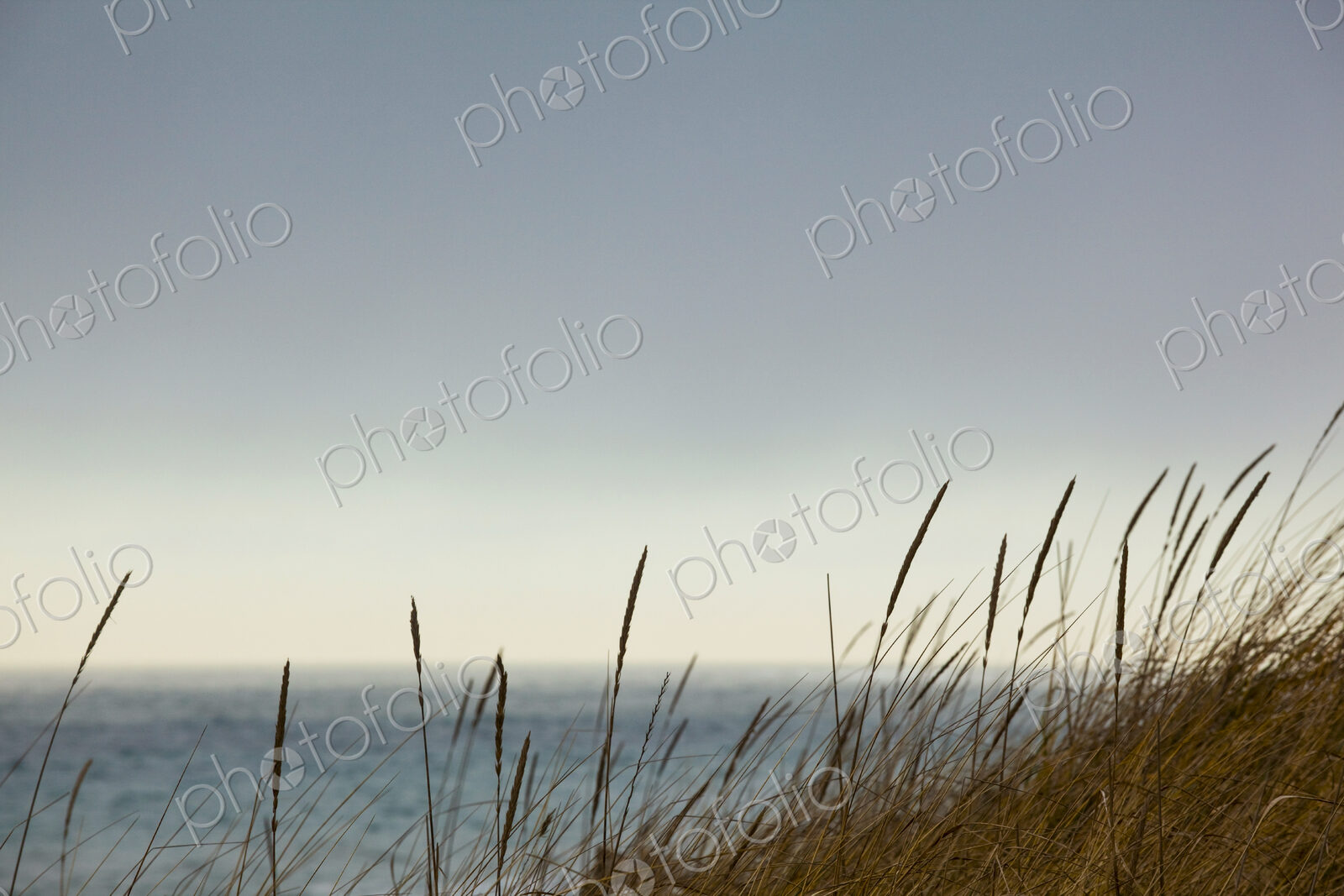 Sea shore grass along the Strait of Juan de Fuca, Port Angeles and view out to sea.