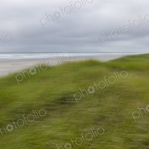 Seagrass and beach abstract