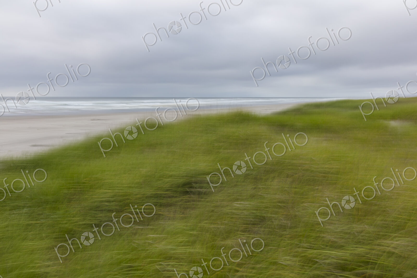 Seagrass and beach abstract