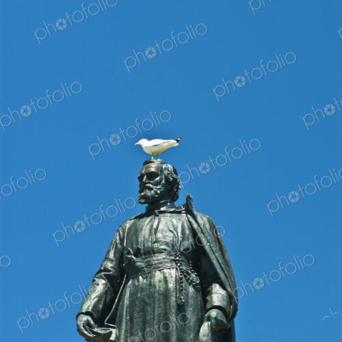Seagull Perched on a Statue