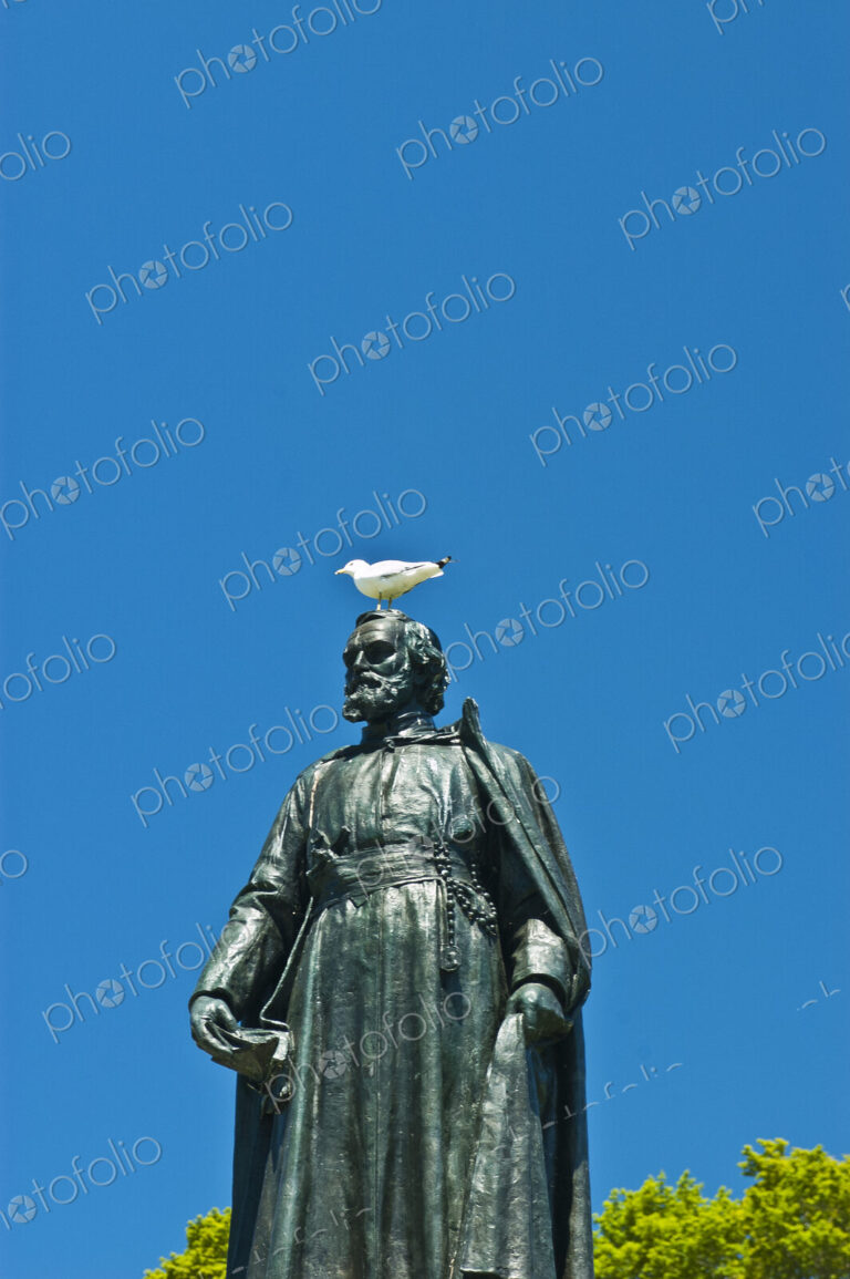Seagull Perched on a Statue