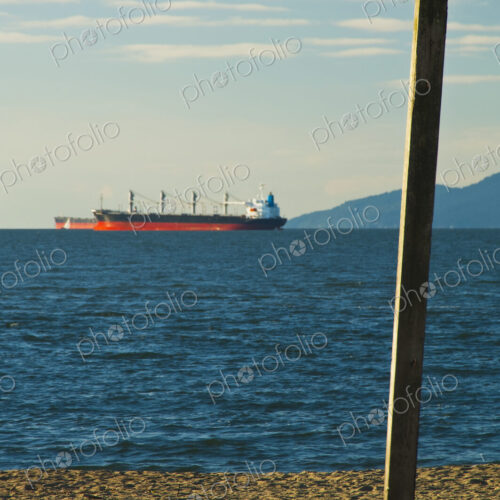 Seagull perched on pole on a beach, commercial freighter on the water Seagull perched on pole on a beach, commercial freighter on the water
