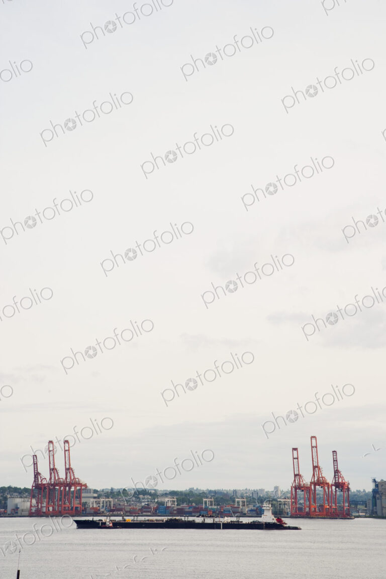 Seaport with ships and barges on the water