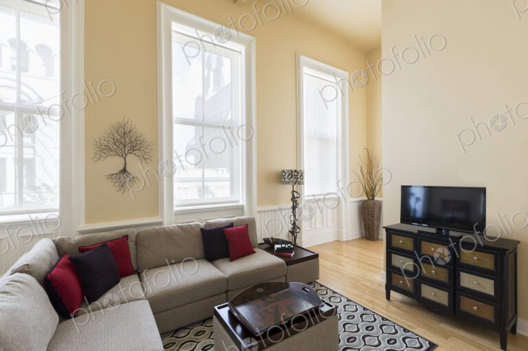 Sectional sofa in modern living room