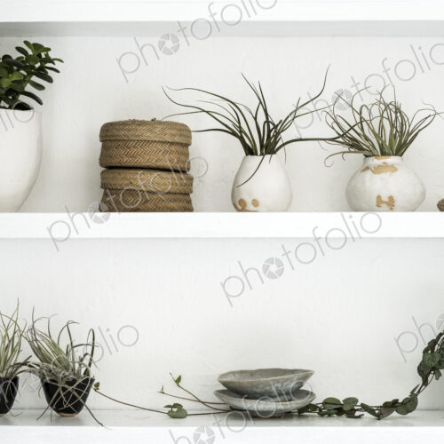 Selection of air plants in terracotta pots and a String of Hearts plant on shelves in… Selection of air plants in terracotta pots and a String of Hearts plant on shelves in…