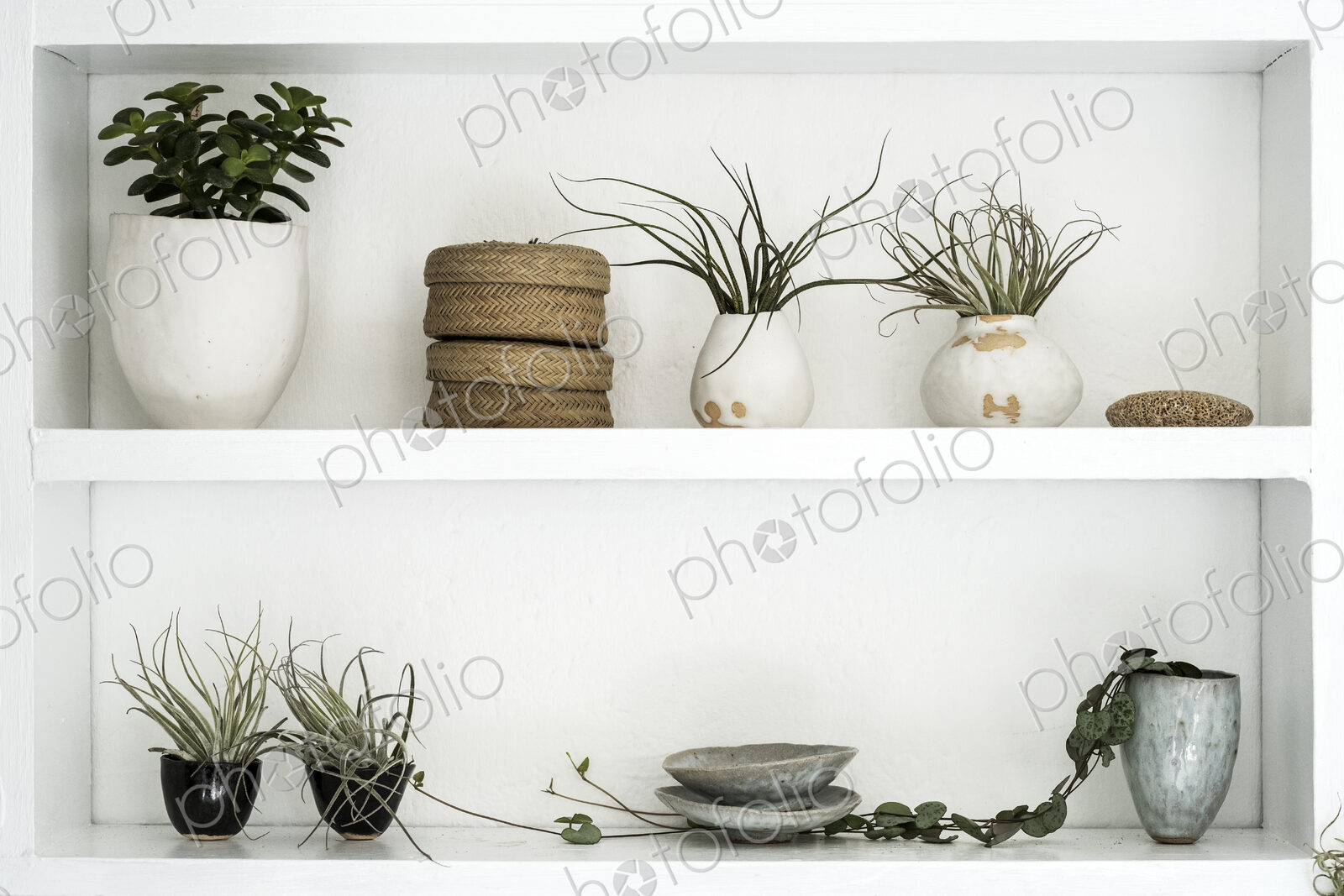 Selection of air plants in terracotta pots and a String of Hearts plant on shelves in…