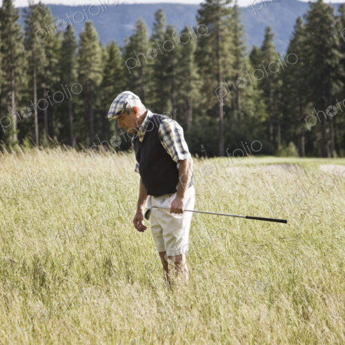 Senior golfer trying to find golf ball that has flown into heavy rough on the golf course. Senior golfer trying to find golf ball that has flown into heavy rough on the golf course.