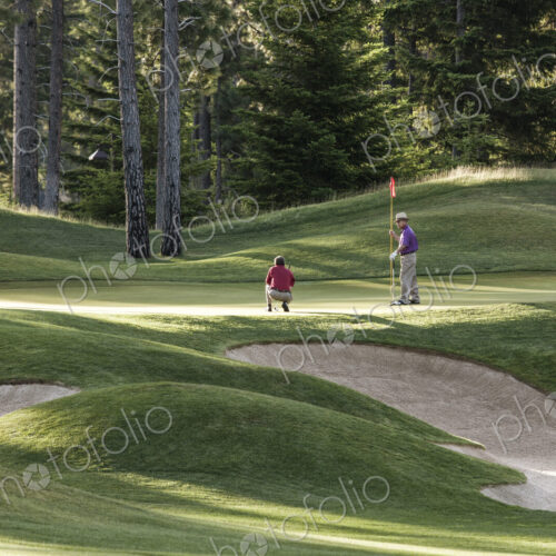 Senior golfers on one of the greens of the golf course. Senior golfers on one of the greens of the golf course.
