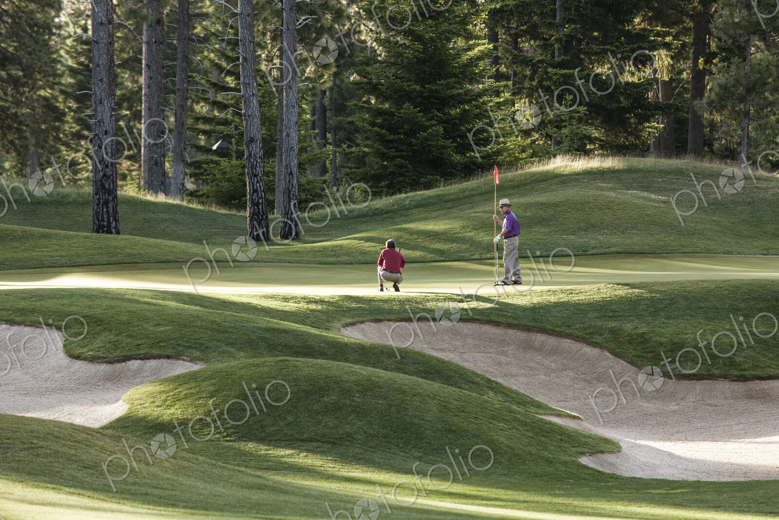 Senior golfers on one of the greens of the golf course.