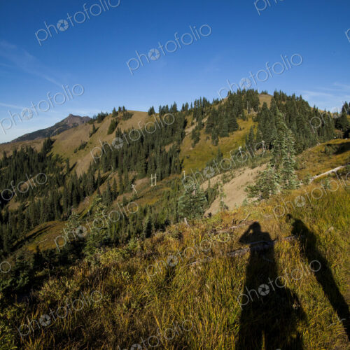 Shadow of hikers enjoying view, Hurricane Ridge, Olympic National Park.