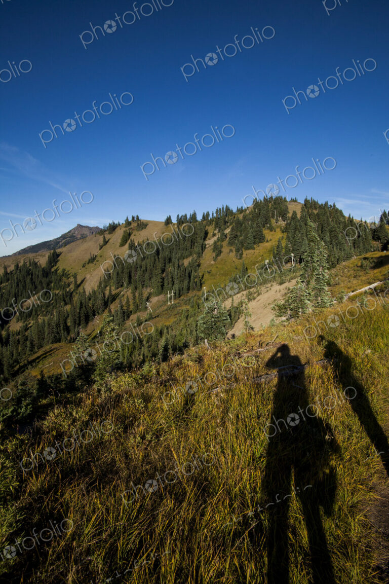 Shadow of hikers enjoying view, Hurricane Ridge, Olympic National Park.