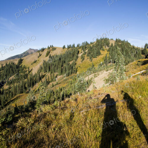 Shadow of hikers enjoying view, Hurricane Ridge, Olympic National Park.