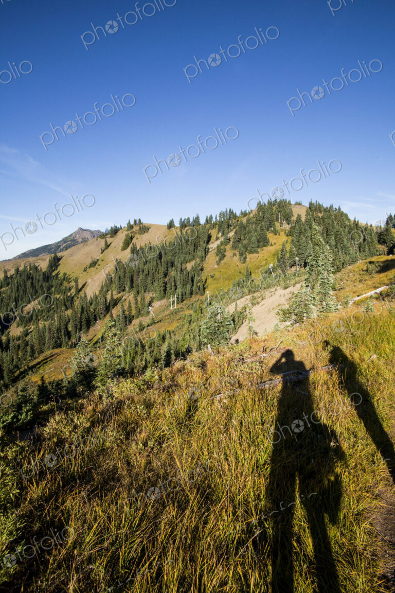 Shadow of hikers enjoying view, Hurricane Ridge, Olympic National Park.