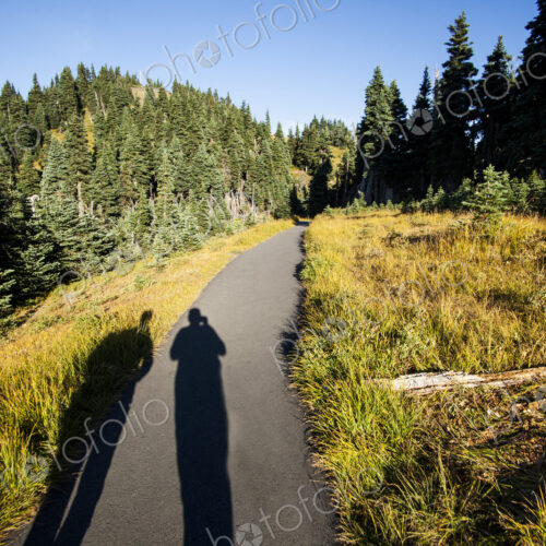 Shadow of hikers on a path at Hurricane Ridge, Olympic National Park