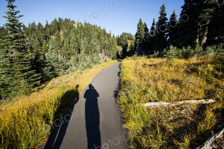 Shadow of hikers on a path at Hurricane Ridge, Olympic National Park