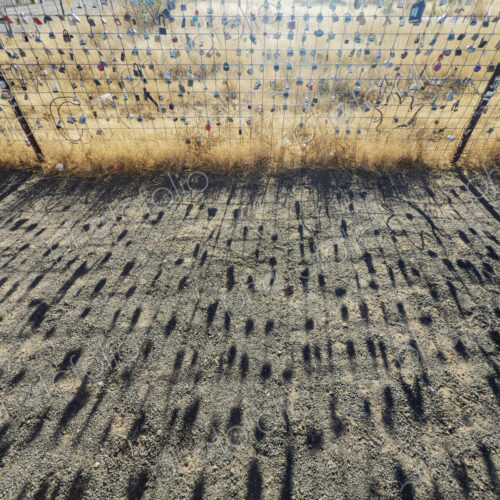 Shadows of Love Locks on a Farm Fence