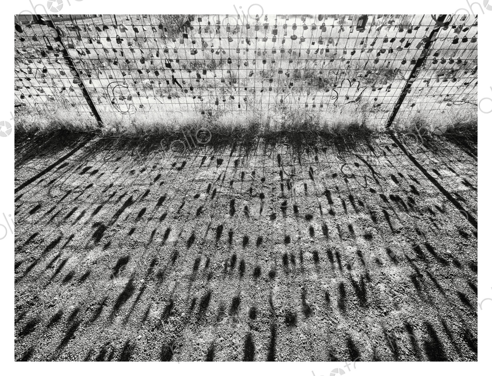 Shadows of Love Locks on a Farm Fence