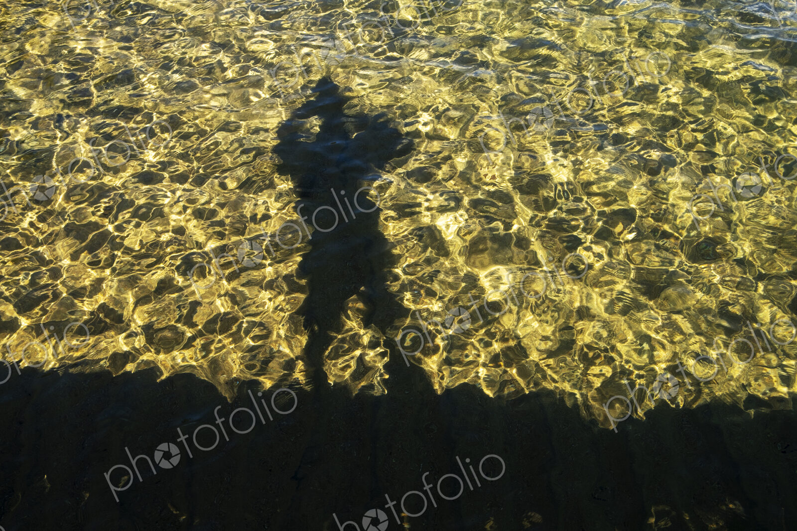 Shaodw of photographer on clear waters of Lake Tahoe, High Sierra, CA, USA
