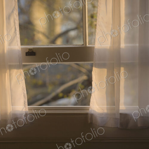 Sheer curtains in open window Sheer curtains in open window