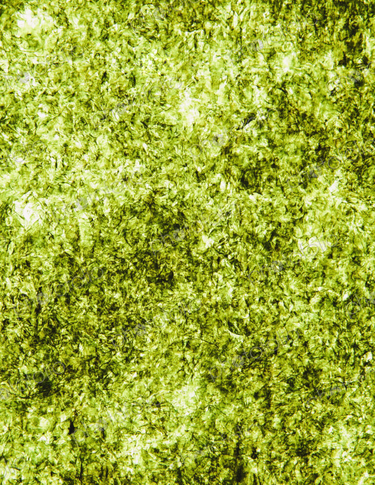 Sheet of organic sushi nori seaweed