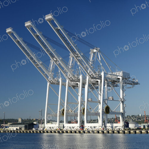 Shipping cranes over industrial shipyard
