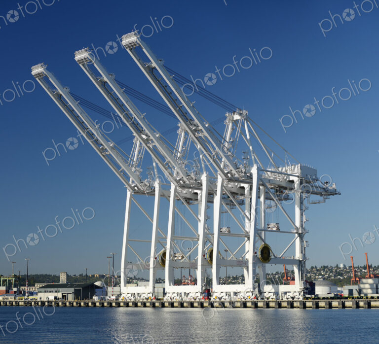 Shipping cranes over industrial shipyard