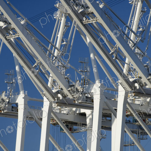 Shipping cranes under blue sky