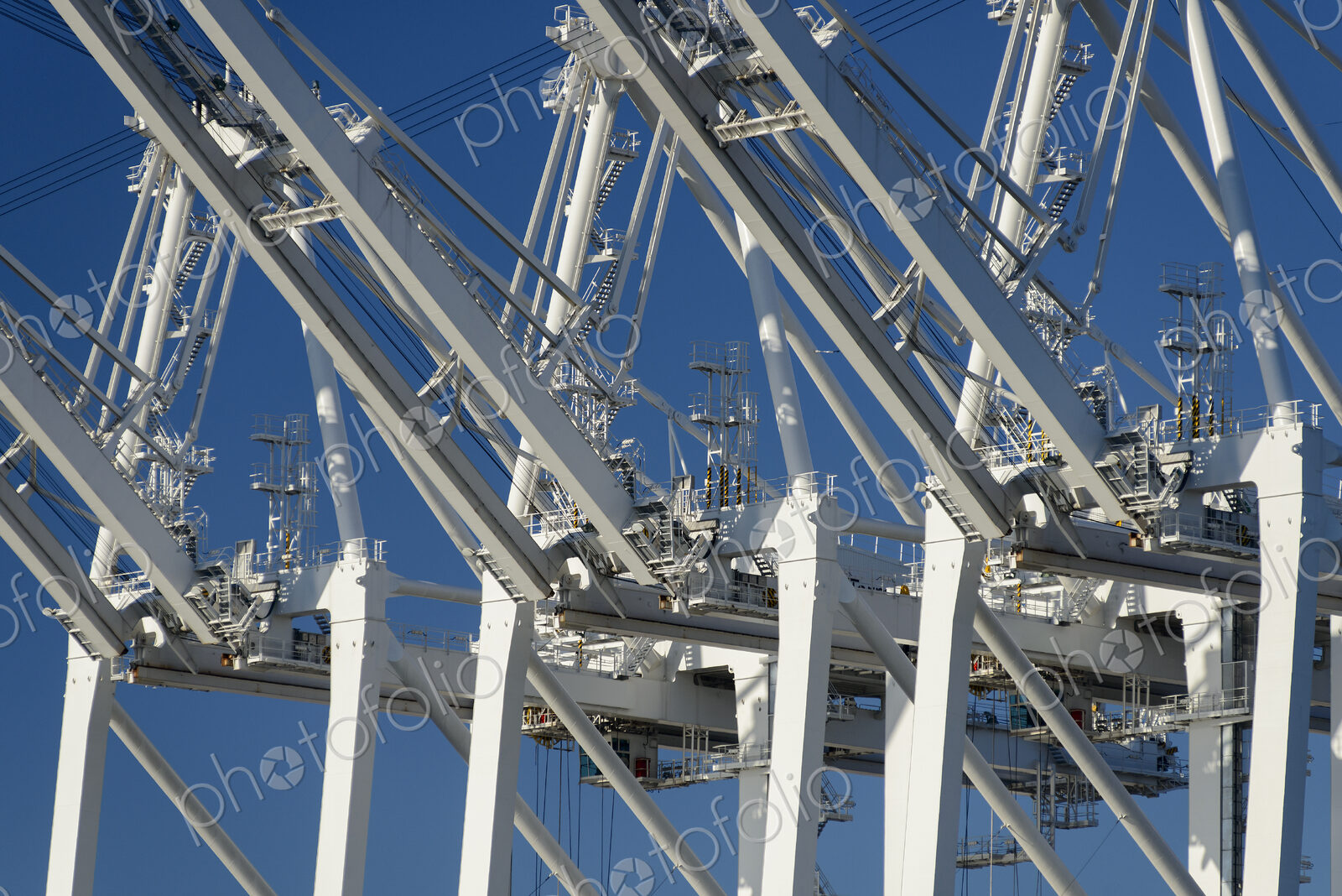 Shipping cranes under blue sky