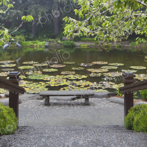 Shore Acres State Park botanical gardens, an Oregon State Park on Cape Arago on the… Shore Acres State Park botanical gardens, an Oregon State Park on Cape Arago on the…