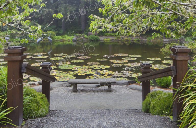 Shore Acres State Park botanical gardens, an Oregon State Park on Cape Arago on the…