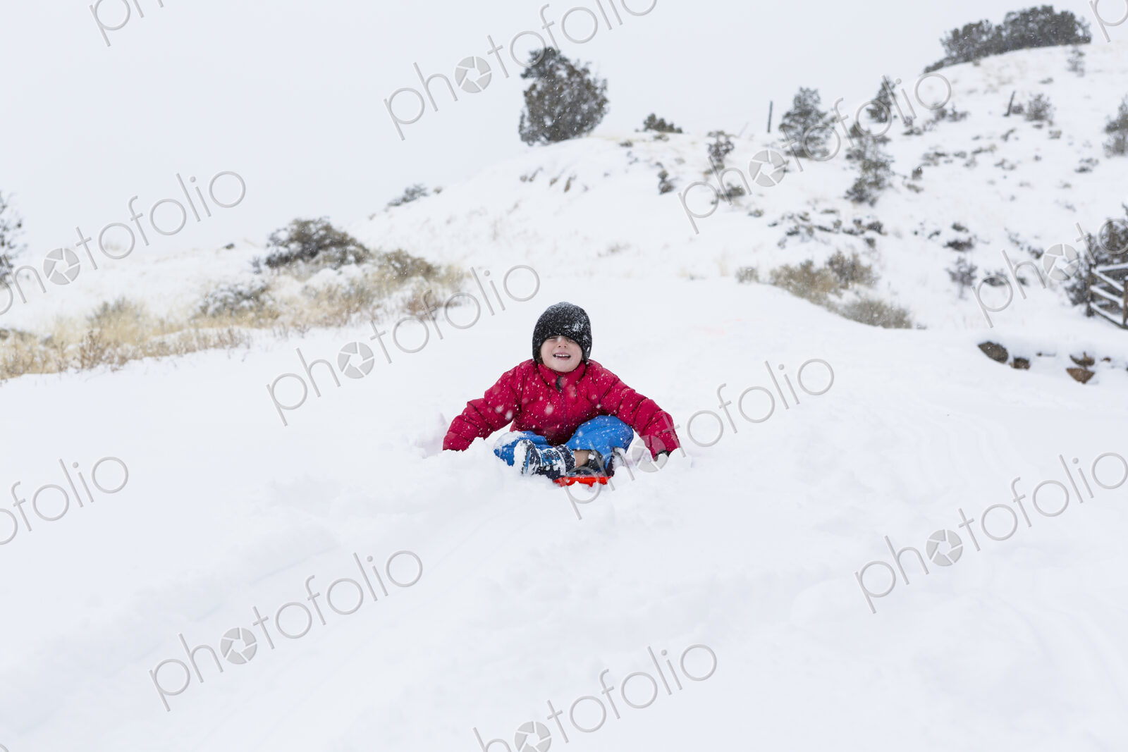 Siblings sledding down hill