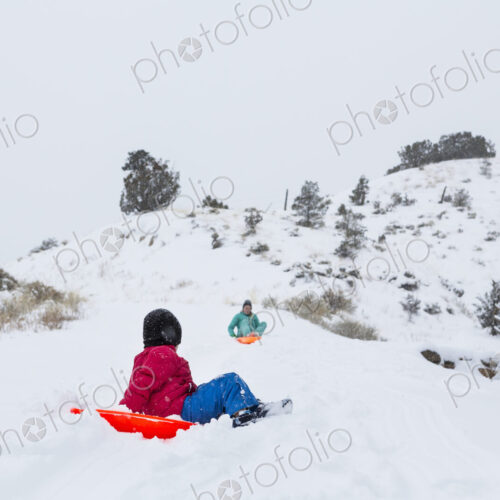 Siblings sledding down hill Siblings sledding down hill