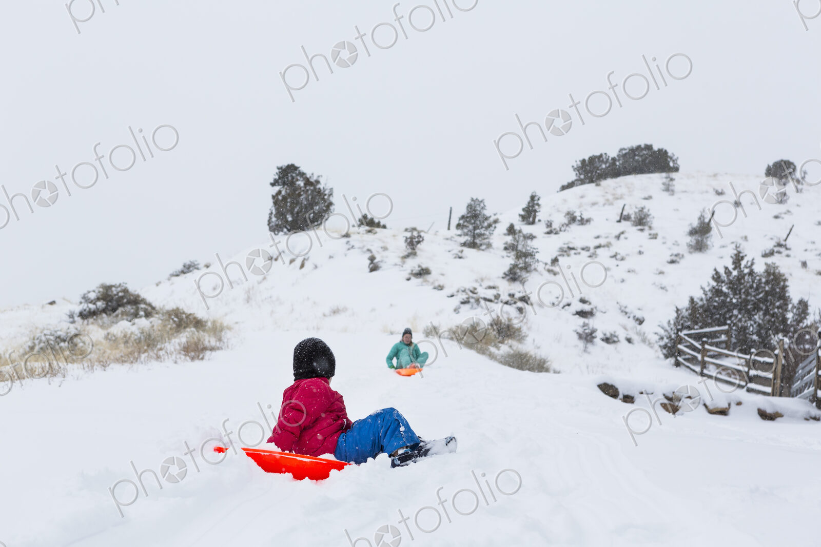 Siblings sledding down hill