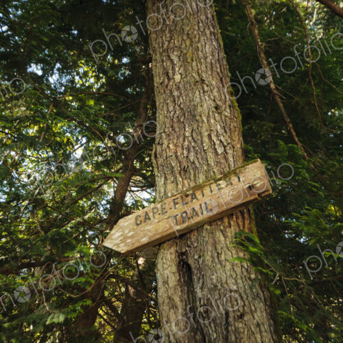 Sign to the Cape Flattery Trail, Makah Reservation, WA USA Sign to the Cape Flattery Trail, Makah Reservation, WA USA
