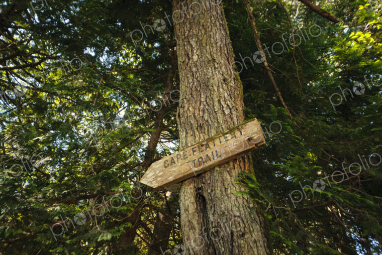 Sign to the Cape Flattery Trail, Makah Reservation, WA USA