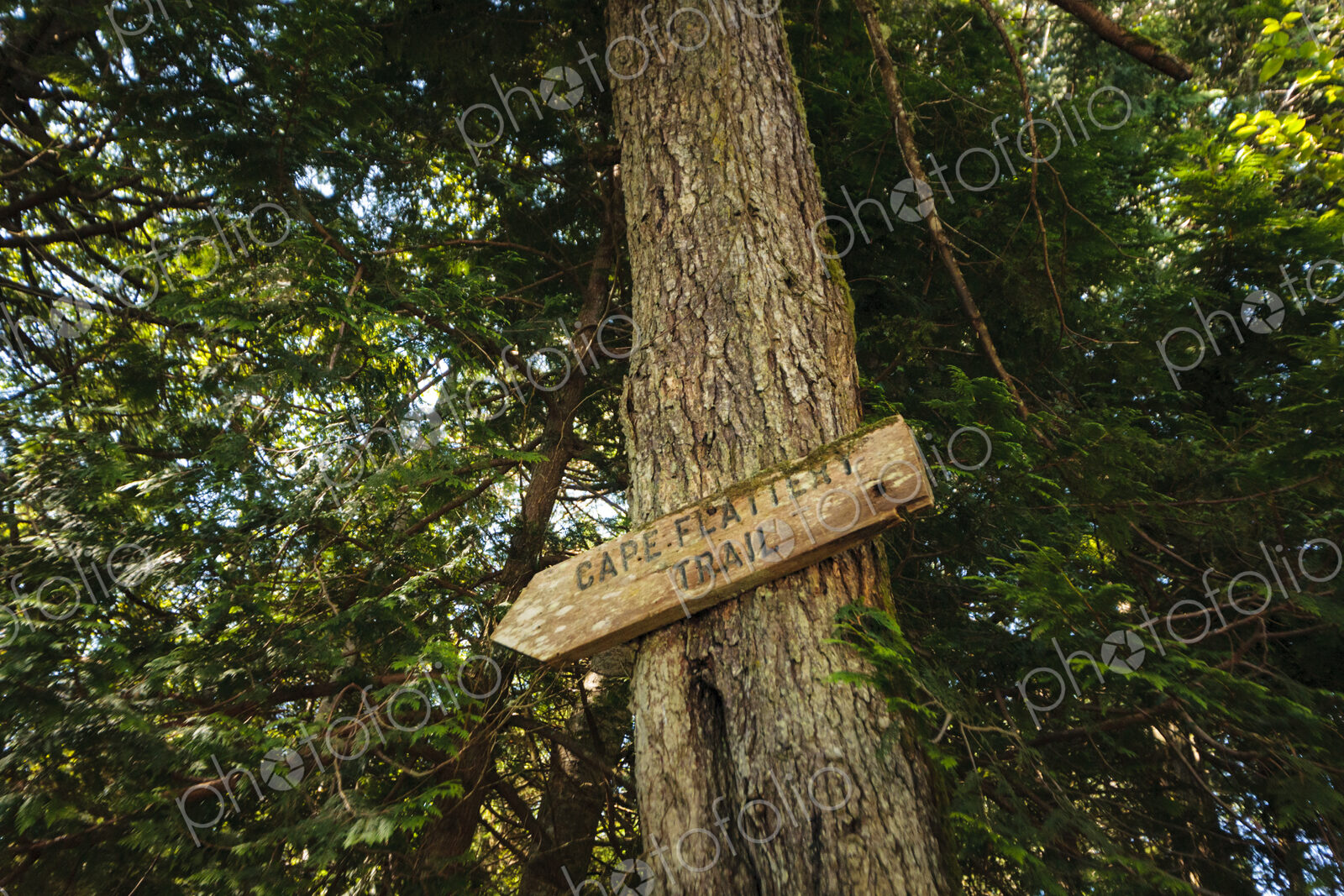 Sign to the Cape Flattery Trail, Makah Reservation, WA USA