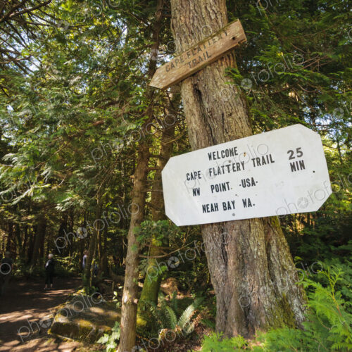 Sign to the Cape Flattery Trail, Makah Reservation, WA USA Sign to the Cape Flattery Trail, Makah Reservation, WA USA