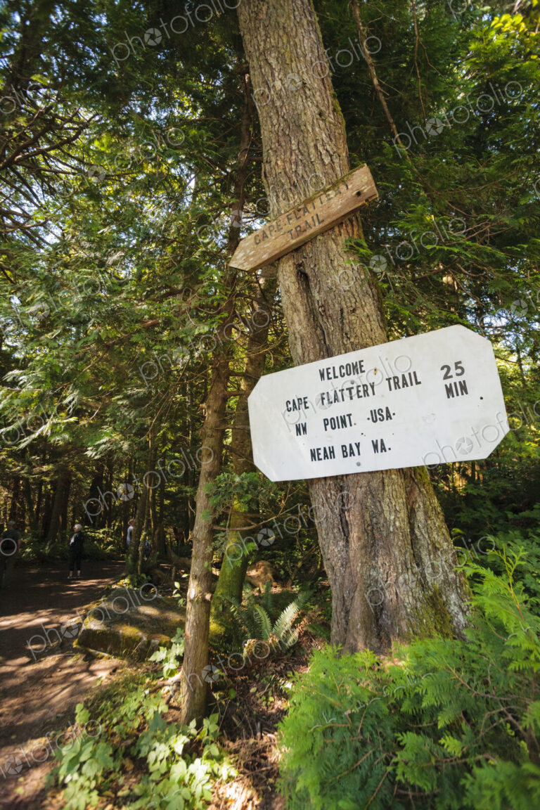 Sign to the Cape Flattery Trail, Makah Reservation, WA USA