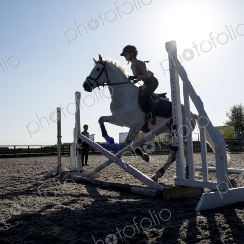 Silhouette of female rider jumping hurdle in a paddock on a grey horse