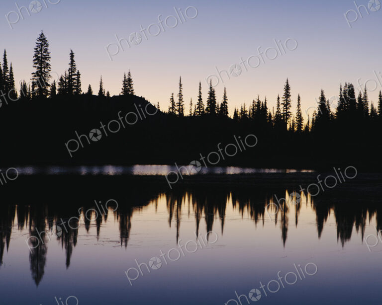 Silhouette of pine trees on the edge of Reflection Lakes in Mount Rainier national…