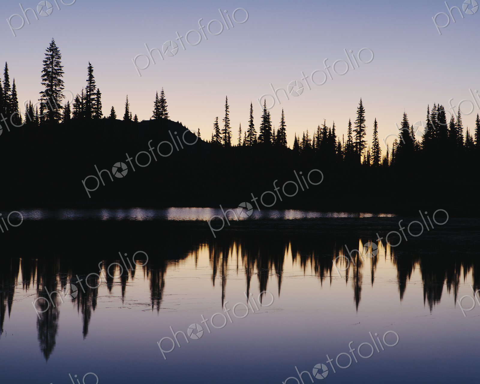 Silhouette of pine trees on the edge of Reflection Lakes in Mount Rainier national…