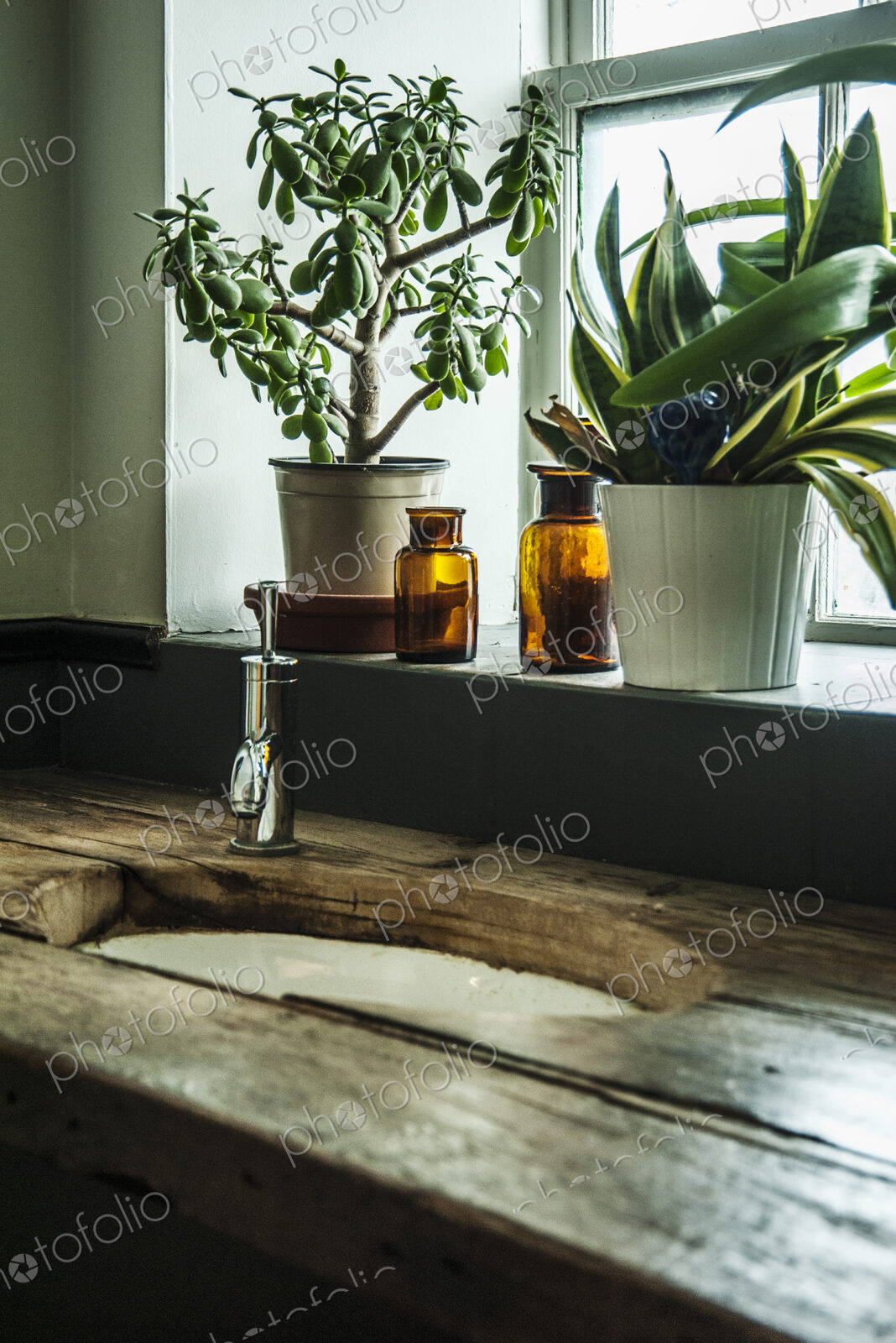 Sink in wooden counter with potted plants in window